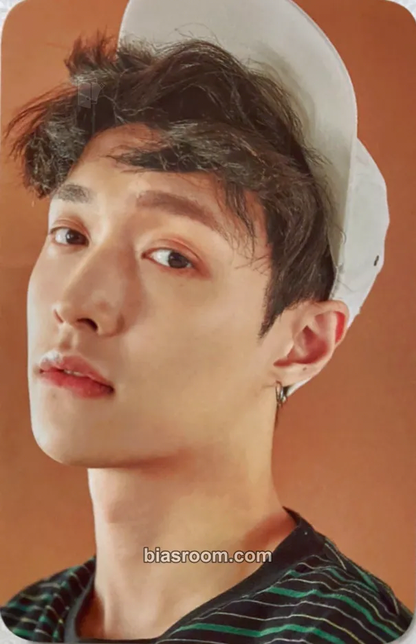 Lay EXO's 10th Debut Anniversary MD Photocard - EXO - EXO K-pop photocard