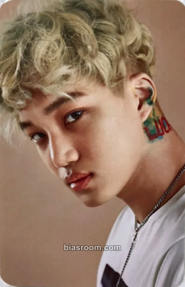 Kai EXO's 10th Debut Anniversary MD Photocard - EXO - EXO K-pop photocard
