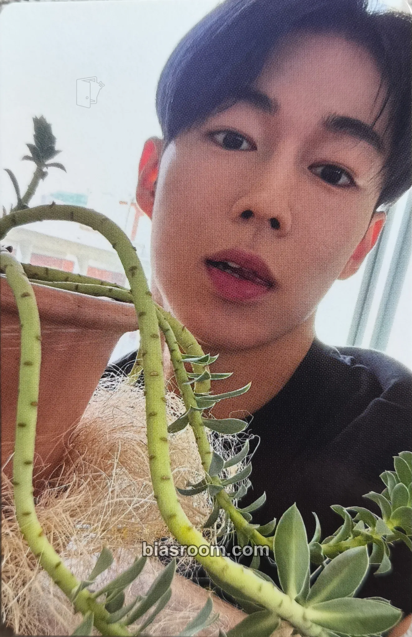 Dawon D.W.N x Wonderwall Photocard - SF9 - SF9 K-pop photocard