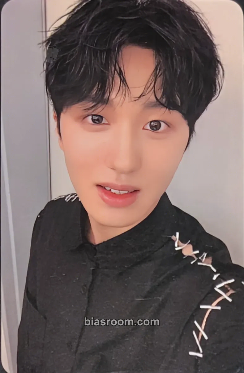 Chani Sensuous Photocard - SF9 - SF9 K-pop photocard