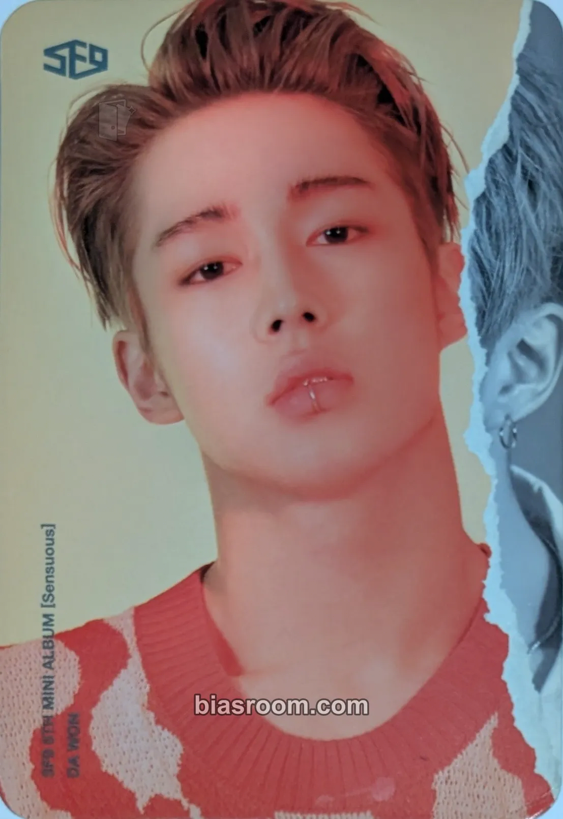 Dawon Sensuous Photocard - SF9 - SF9 K-pop photocard