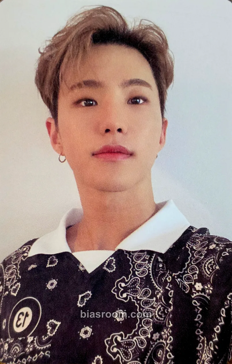 Hoshi DICON Photocard 101: Custom Book Photocard - SEVENTEEN - SEVENTEEN K-pop photocard