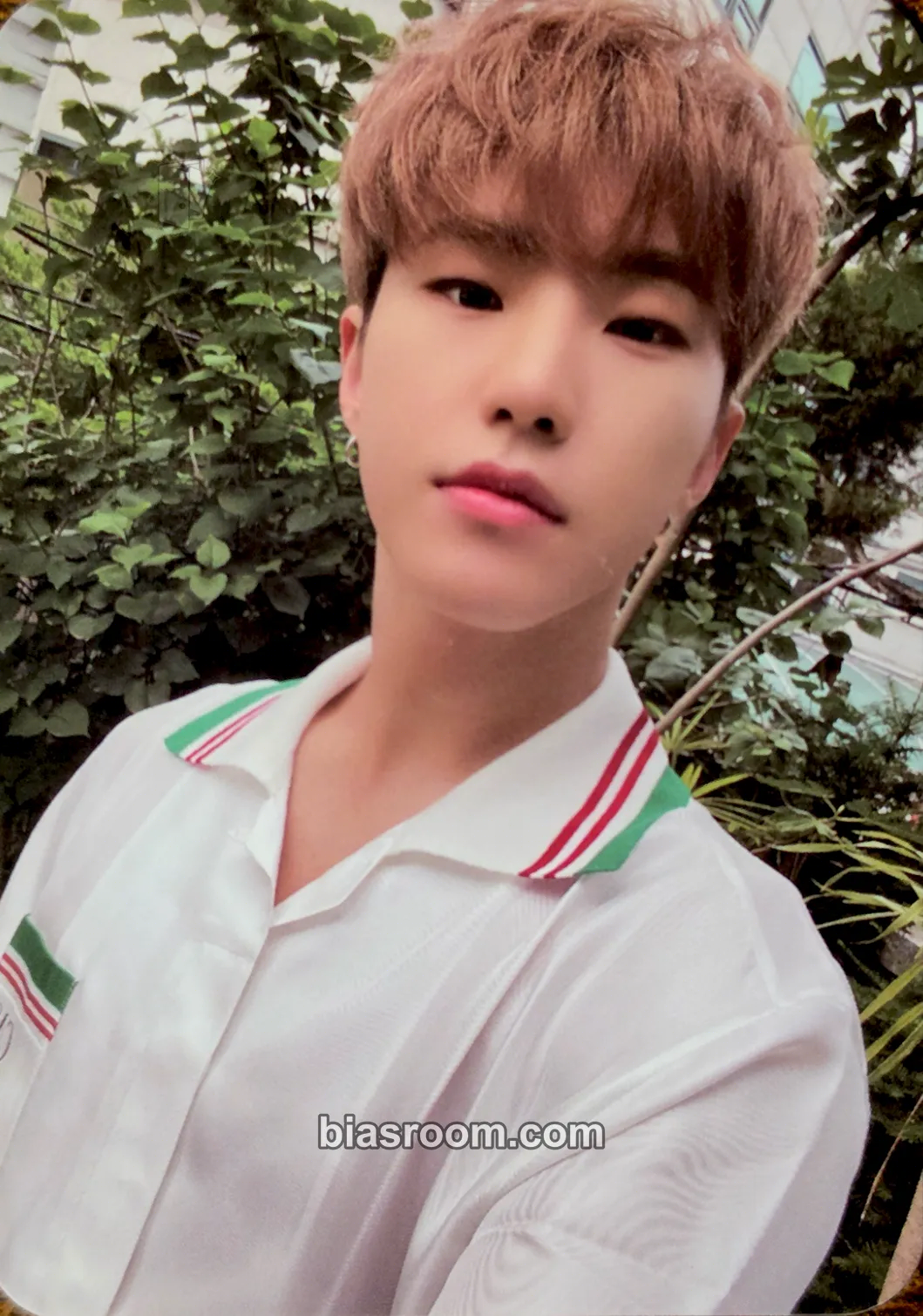 Hoshi DICON My Choice Is... Magazine Photocard - SEVENTEEN - SEVENTEEN K-pop photocard