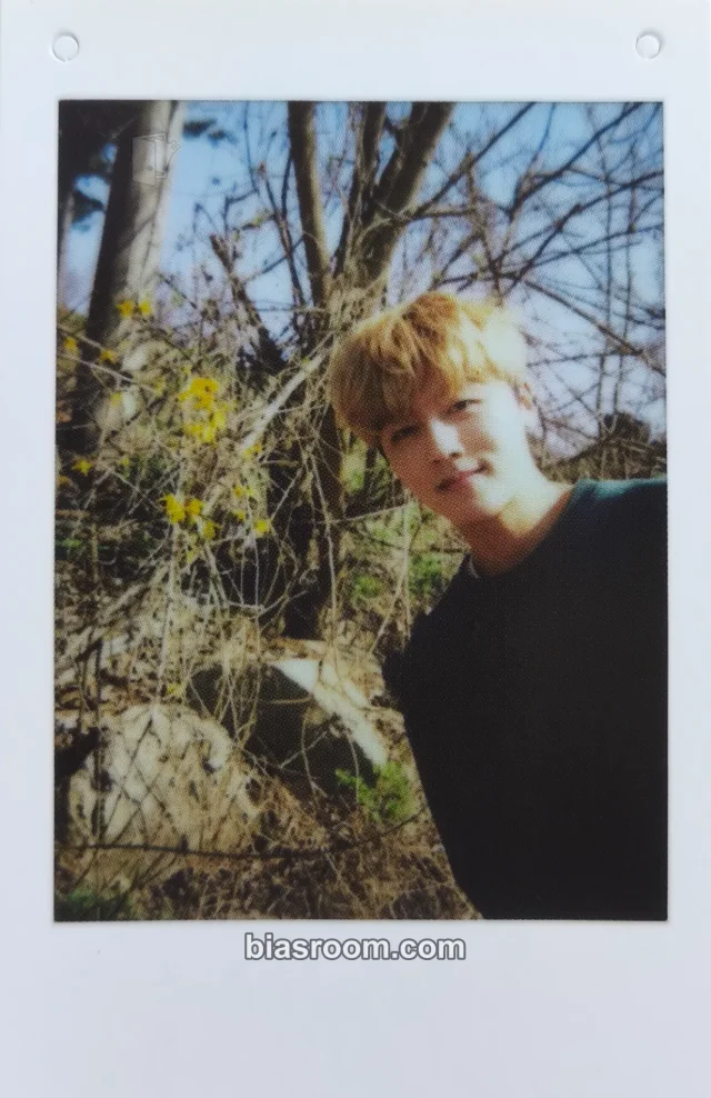 SF9 - Youngbin - 1st Photo Book [L'Amité] Other item set polaroid photobook inclusion