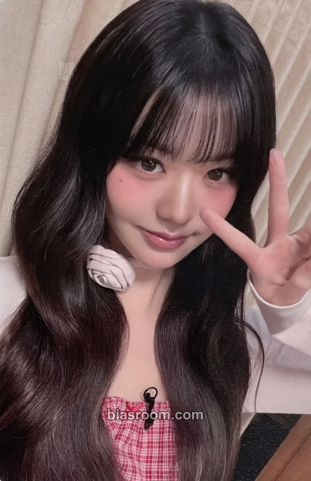 IVE - Wonyoung - IVE SECRET Album offline venue-limited osaka