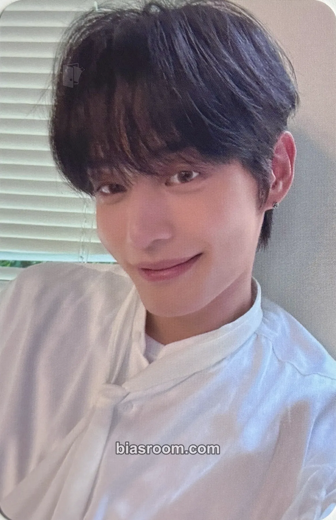 Jiwoong Youth in the Shade Photocard - ZEROBASEONE - ZEROBASEONE K-pop photocard