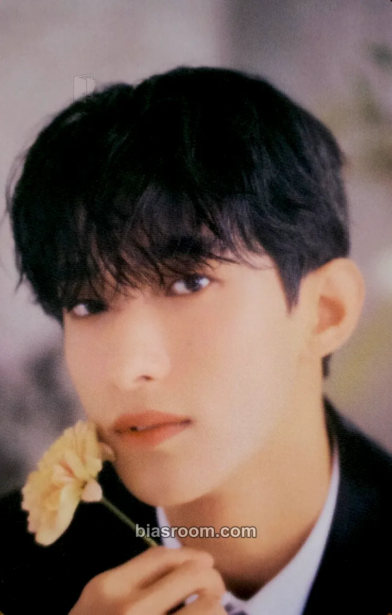 DK FML Photocard - SEVENTEEN - SEVENTEEN K-pop photocard