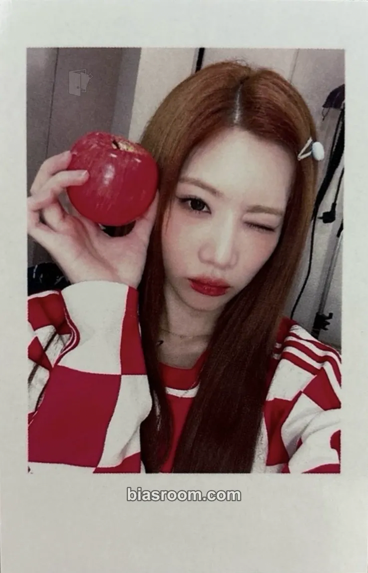 Kim Lip Dall Photocard - ARTMS - ARTMS K-pop photocard