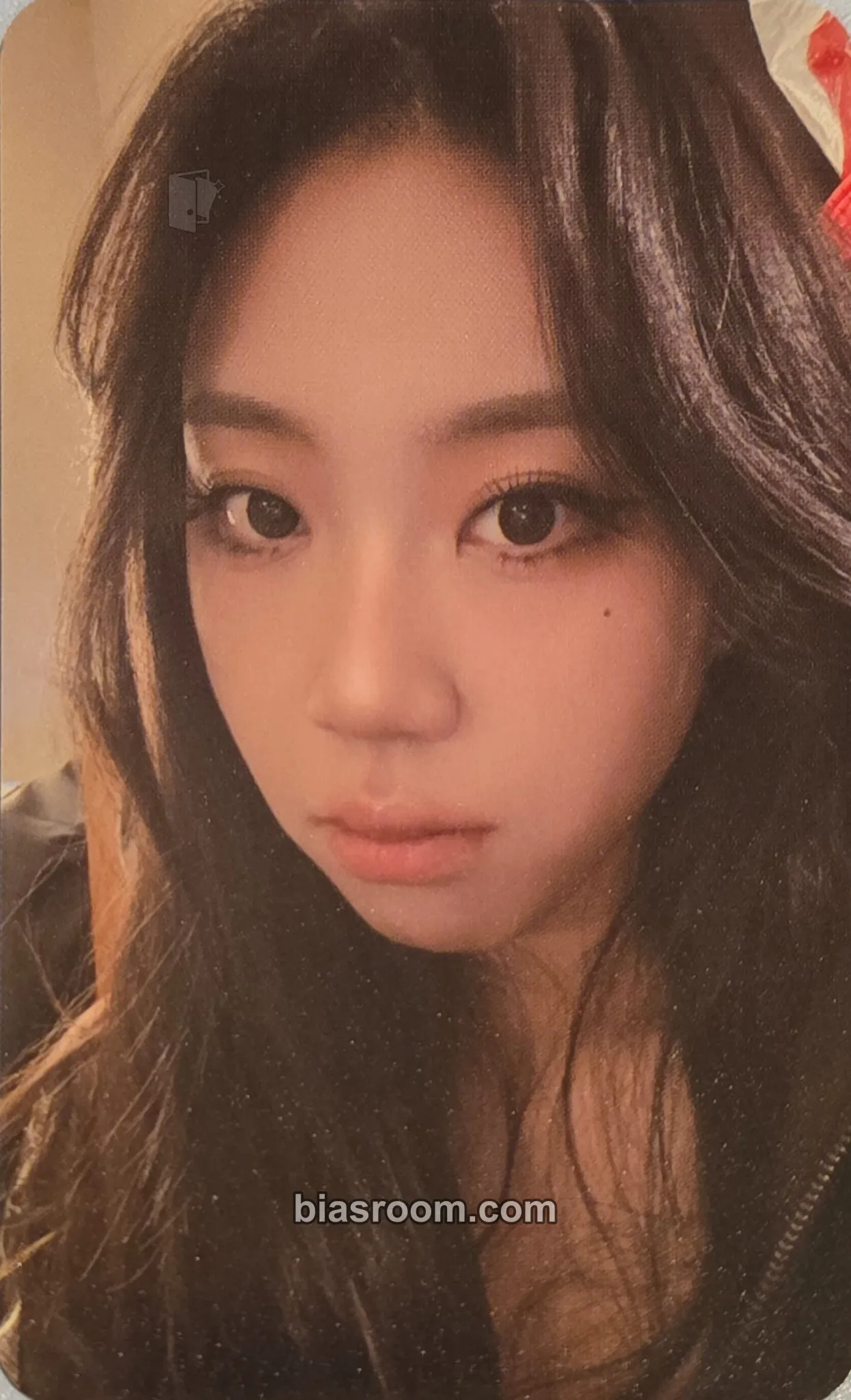 Lee Youngji Kaohsiung Sakura festival 2026 Photocard - Lee Youngji K-pop photocard