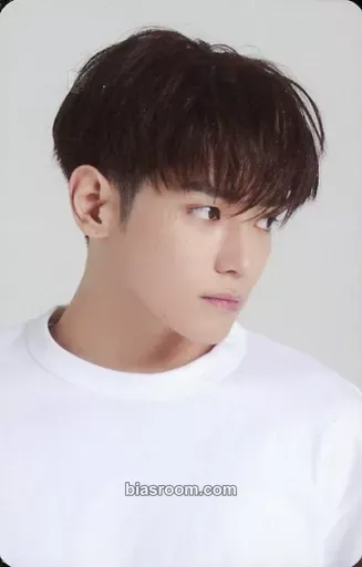 Taeyong 2022 Season’s Greetings Photocard - NCT 127 - NCT 127 K-pop photocard