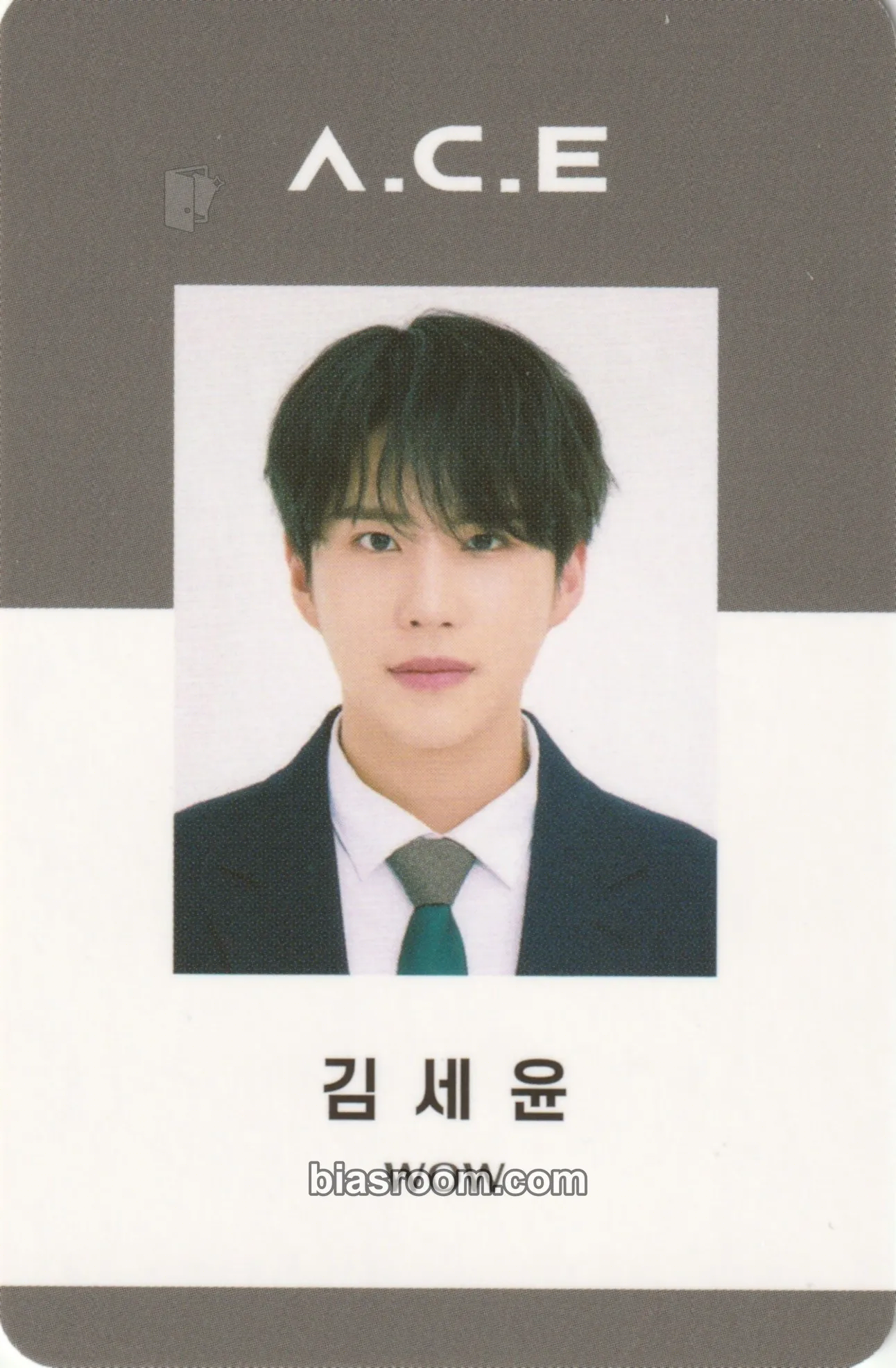 Wow A.C.E 2022 Seasons Greetings: A.C.E Company Photocard - A.C.E - A.C.E K-pop photocard