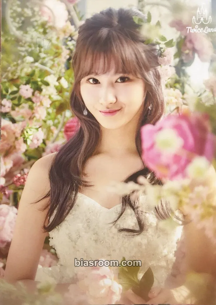 Sana Twice 2nd Tour: Twiceland Zone 2 – Fantasy Park Photocard - TWICE - TWICE K-pop photocard