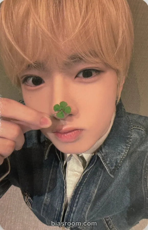 Sakuya COLOR Photocard - NCT WISH - NCT WISH K-pop photocard