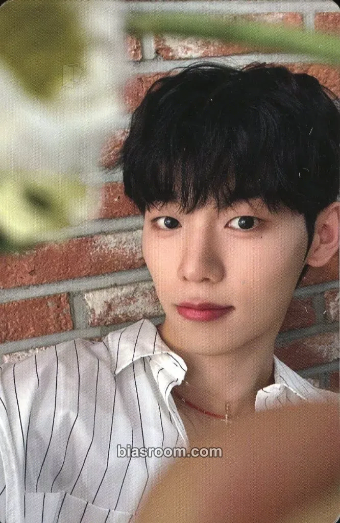 Lee Jeonghyeon LOVE ANECDOTE(S) Photocard - EVNNE - EVNNE K-pop photocard