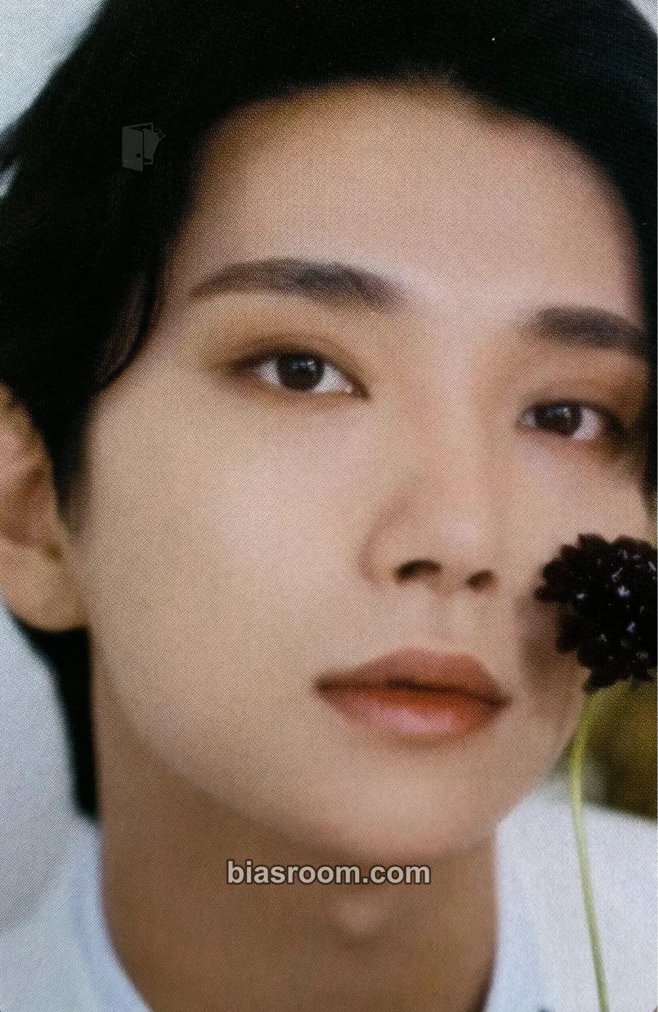 Joshua FML Photocard - SEVENTEEN - SEVENTEEN K-pop photocard