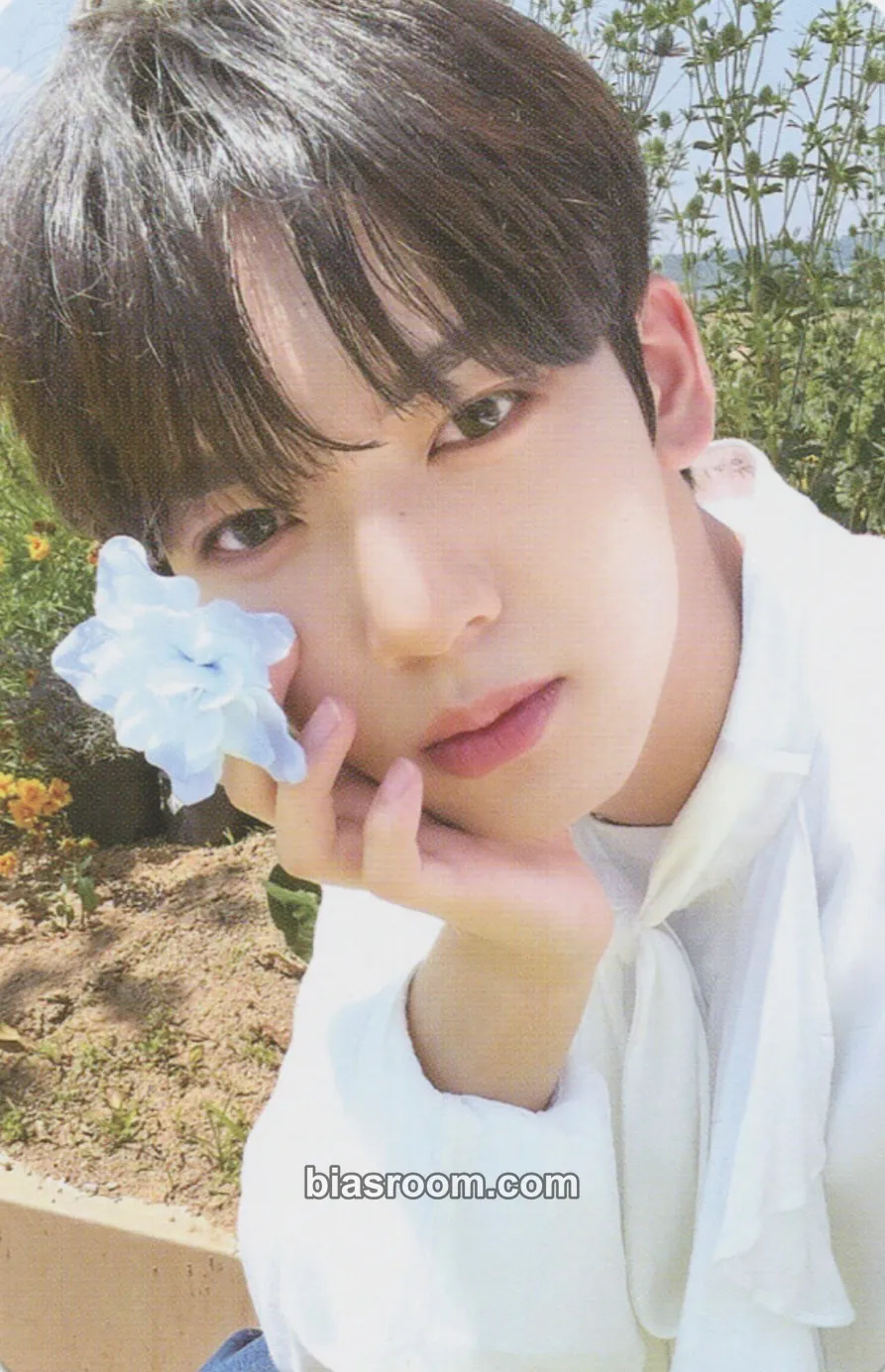 Yujin Youth in the Shade Photocard - ZEROBASEONE - ZEROBASEONE K-pop photocard