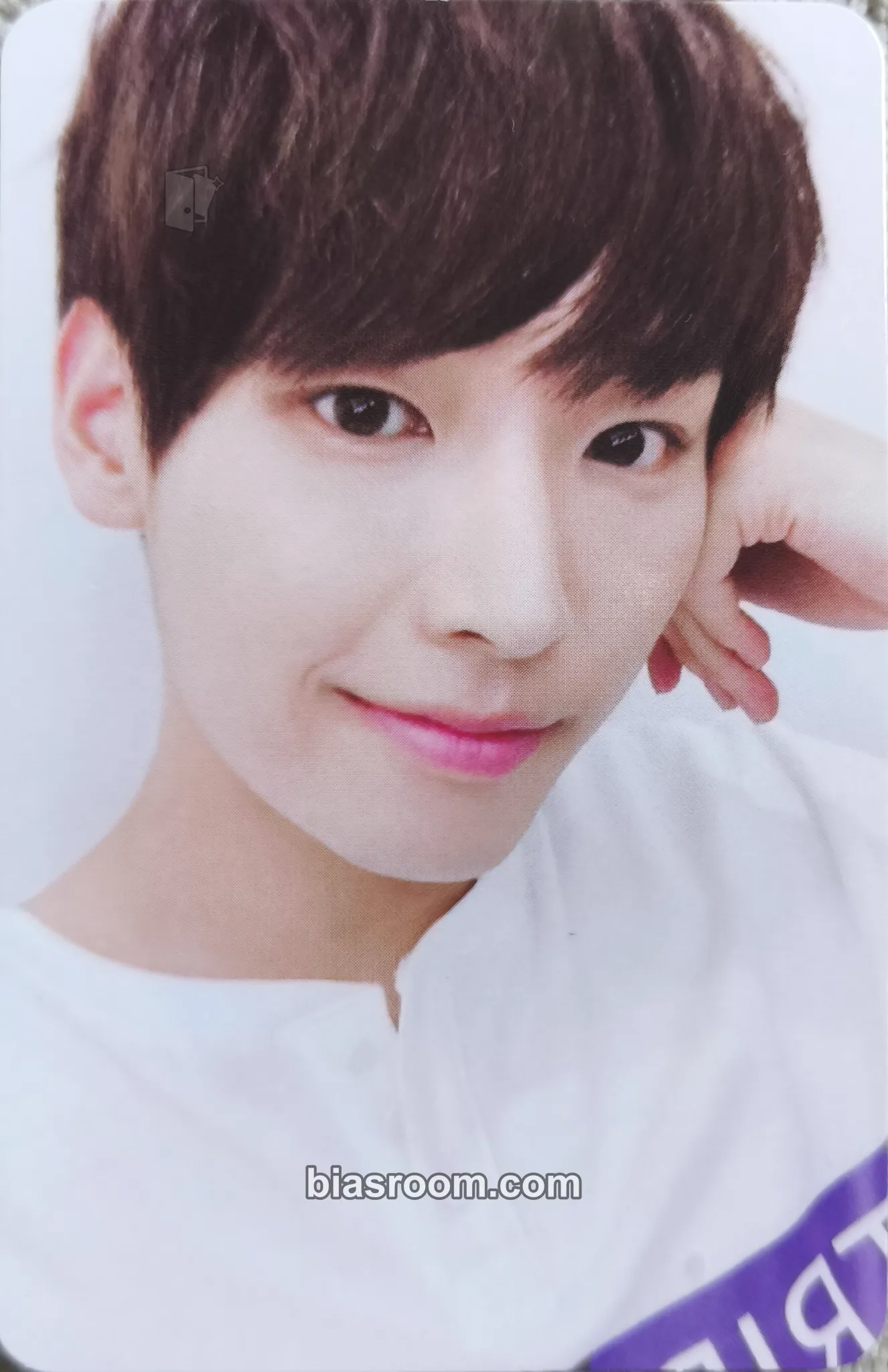 Inseong Feeling Sensation Photocard - SF9 - SF9 K-pop photocard