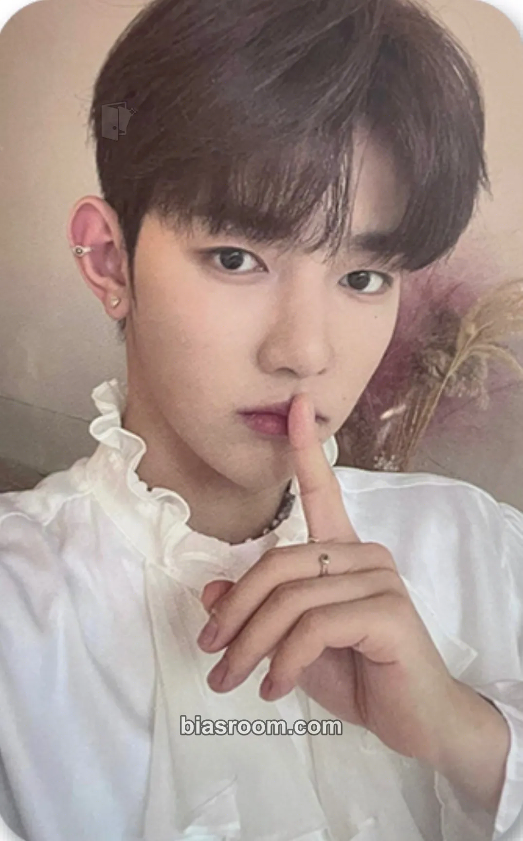 Hao Youth in the Shade Photocard - ZEROBASEONE - ZEROBASEONE K-pop photocard