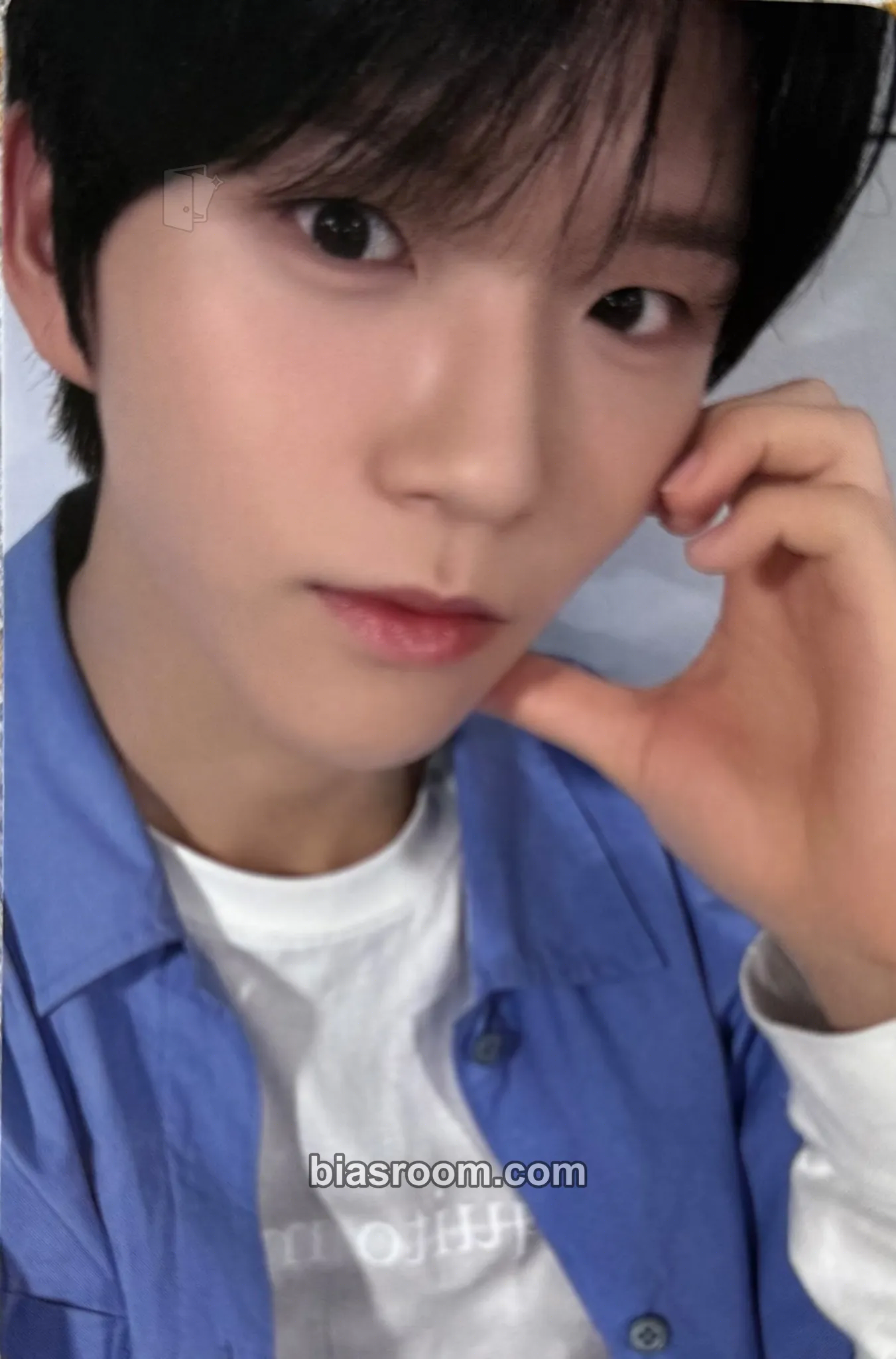 Jaehee Songbird Photocard - NCT WISH - NCT WISH K-pop photocard