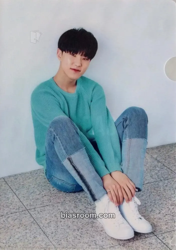 Hoshi 2nd Global Membership Kit - 2017 Photocard - SEVENTEEN - SEVENTEEN K-pop photocard