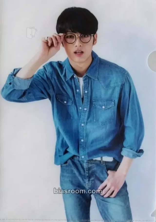 SEVENTEEN - Jun - 2nd Global Membership Kit - 2017 Other membership large photocard photocard set