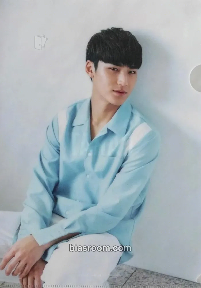 Mingyu 2nd Global Membership Kit - 2017 Photocard - SEVENTEEN - SEVENTEEN K-pop photocard