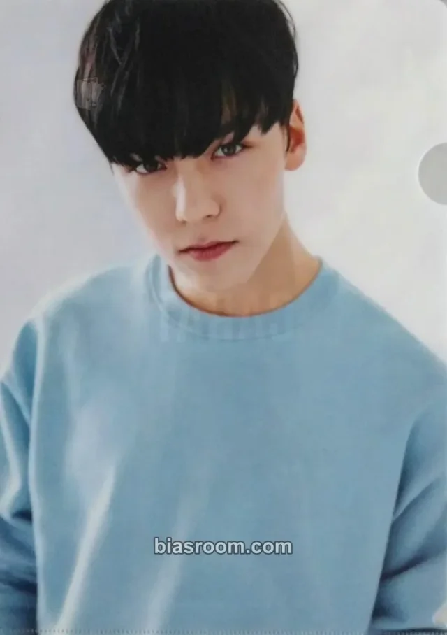 SEVENTEEN - Vernon - 2nd Global Membership Kit - 2017 Other membership large photocard photocard set