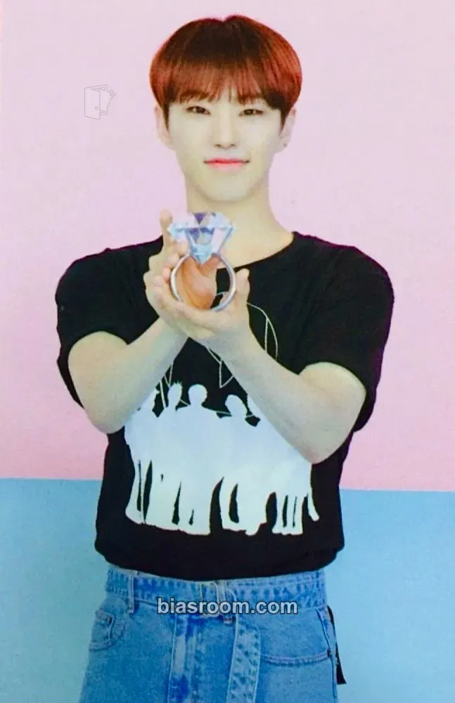 Hoshi 4th Global Membership Kit - 2019 Photocard - SEVENTEEN - SEVENTEEN K-pop photocard