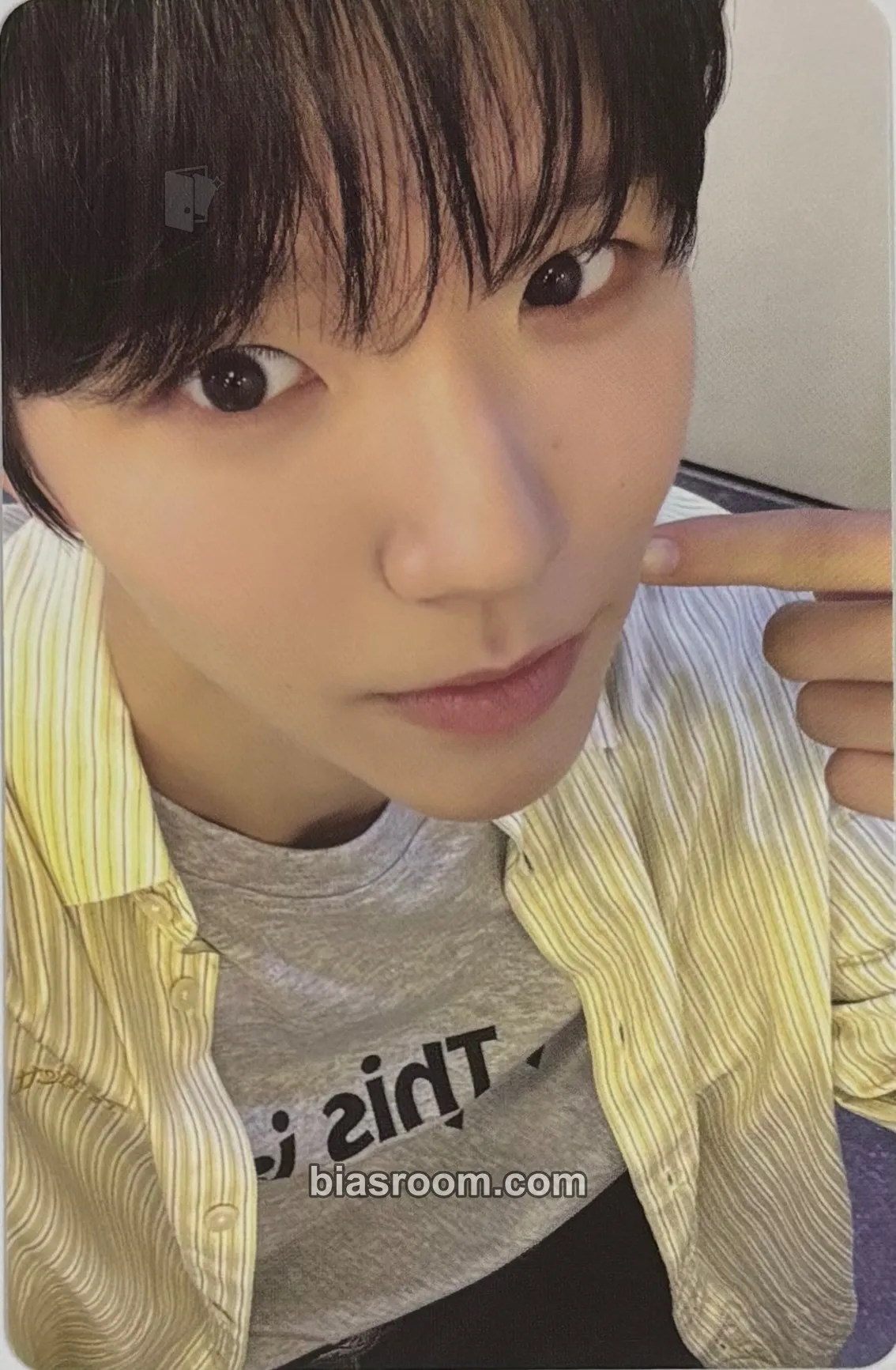 Jaehee FIND YOUR COLOR MD Photocard - NCT WISH - NCT WISH K-pop photocard
