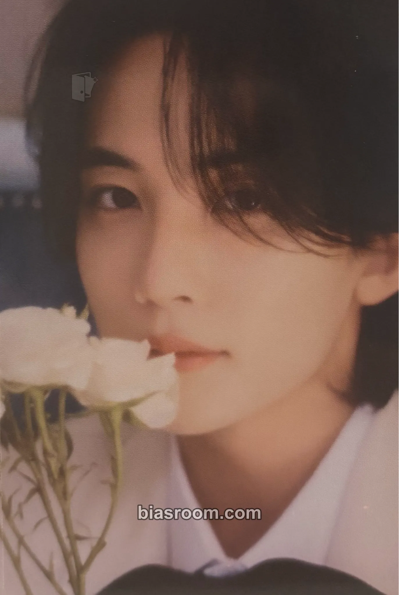Jeonghan FML Photocard - SEVENTEEN - SEVENTEEN K-pop photocard