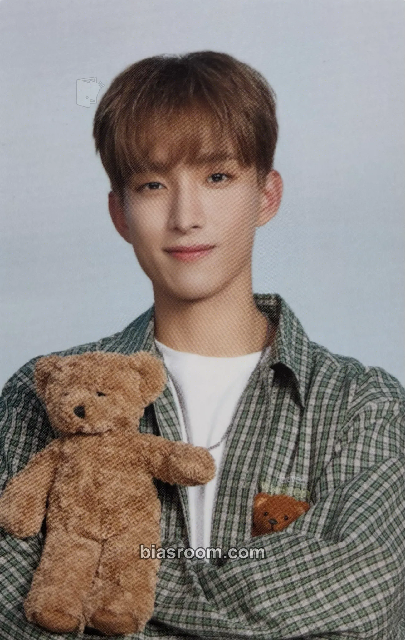 DK DICON D’Festa Mini Edition Photocard - SEVENTEEN - SEVENTEEN K-pop photocard