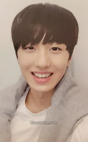 Chani Feeling Sensation Photocard - SF9 - SF9 K-pop photocard