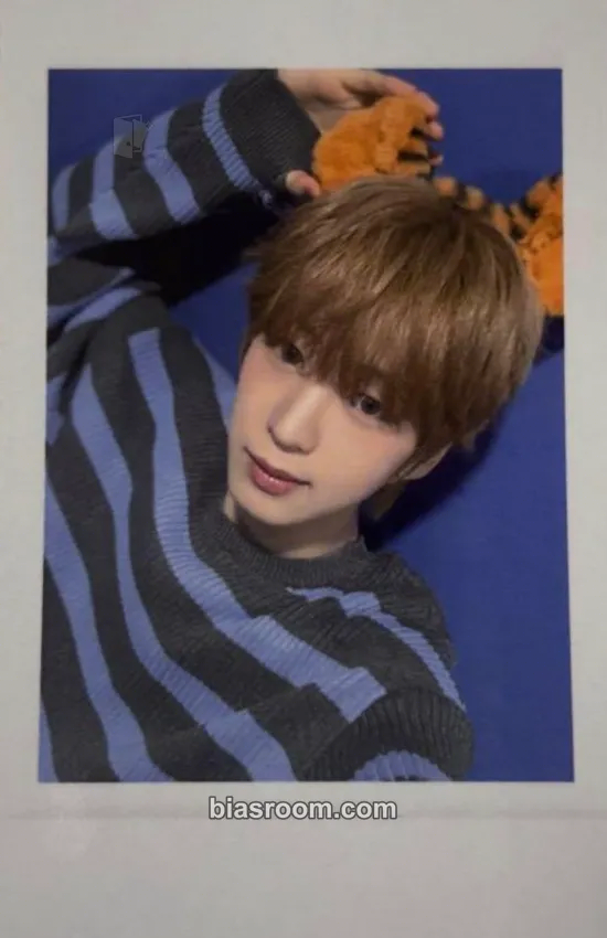 Lee KyuHyuk yesweare Photocard - idntt - idntt K-pop photocard