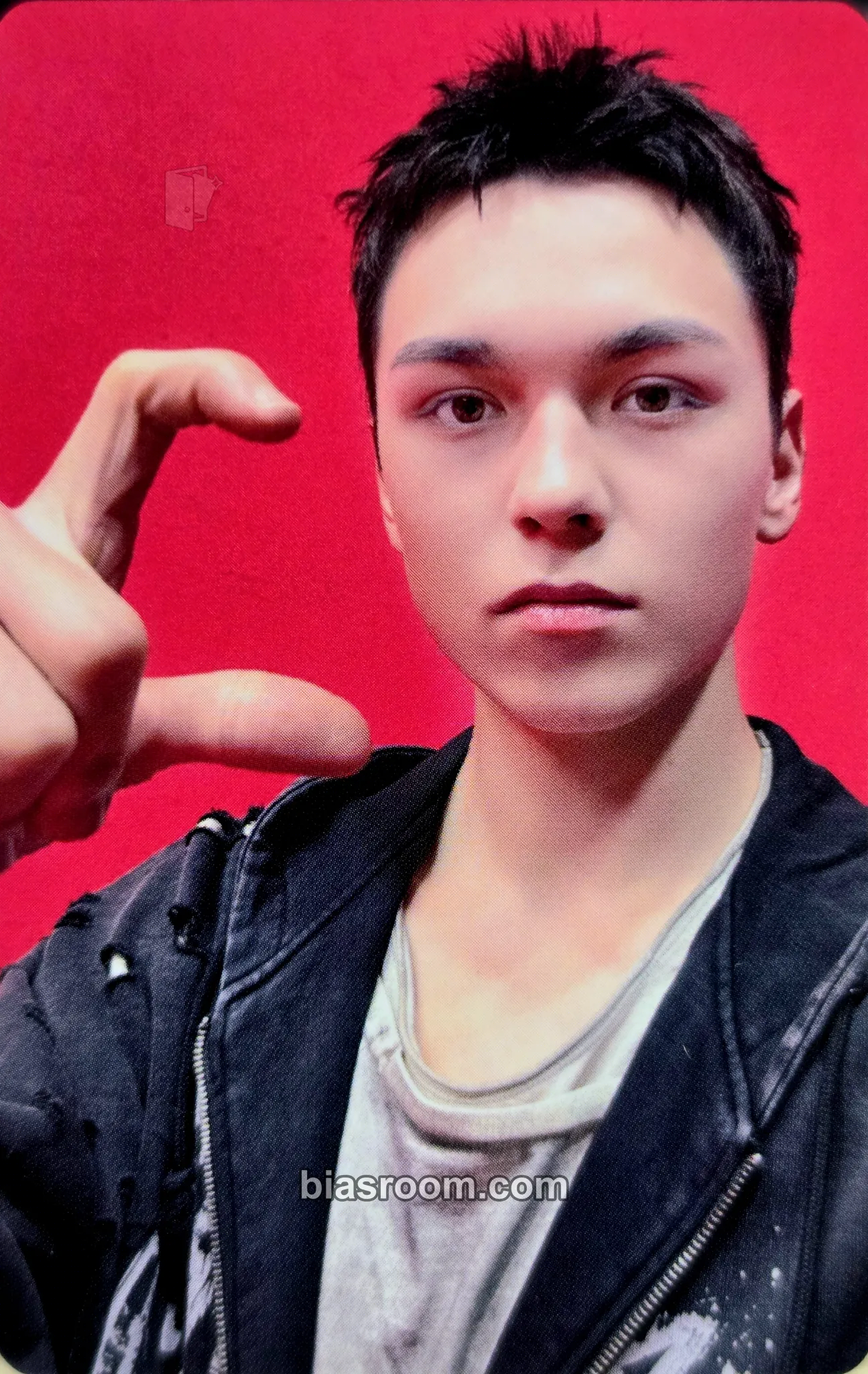 Vernon HAPPY BURSTDAY Photocard - SEVENTEEN - SEVENTEEN K-pop photocard