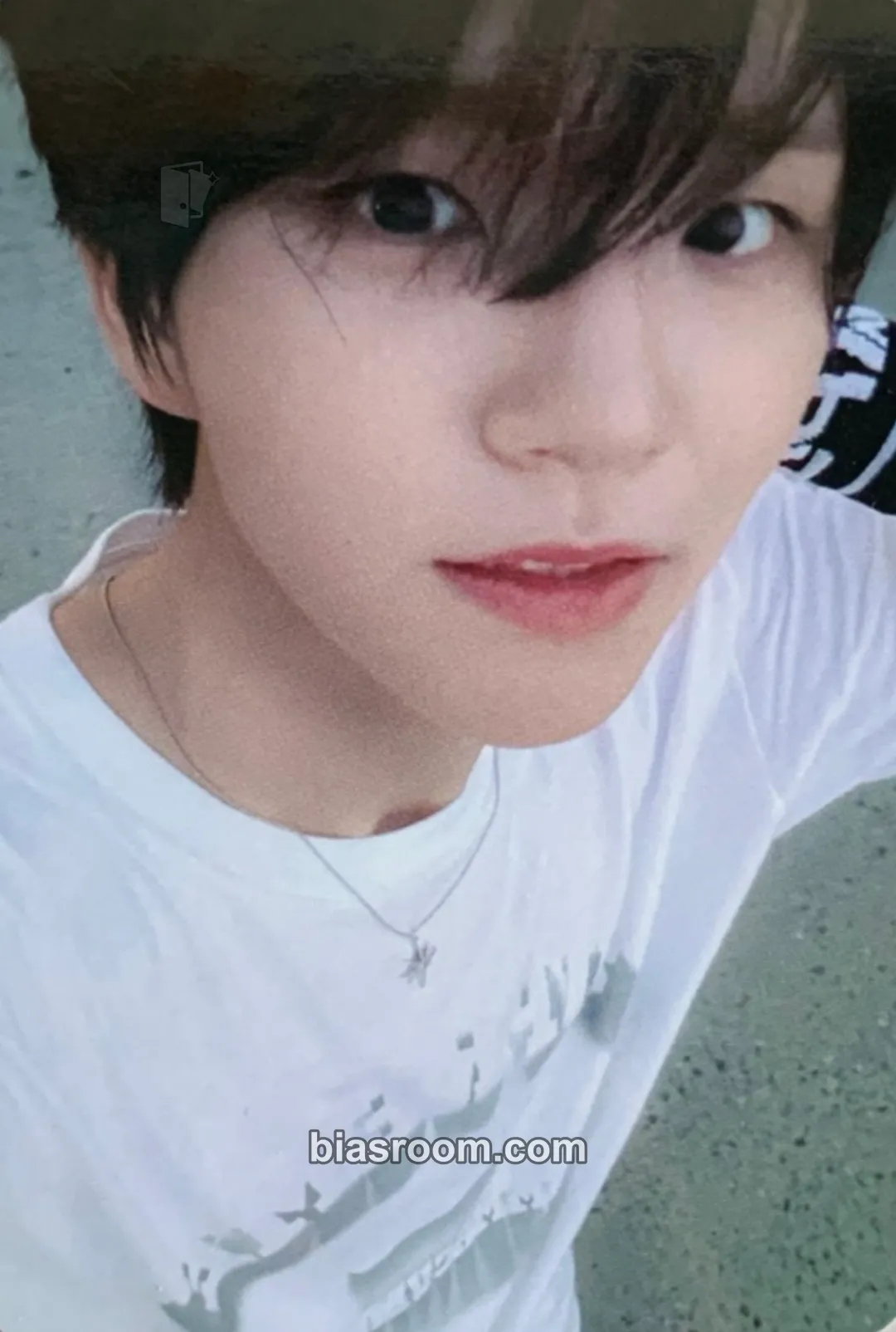 Jaehee Steady Photocard - NCT WISH - NCT WISH K-pop photocard