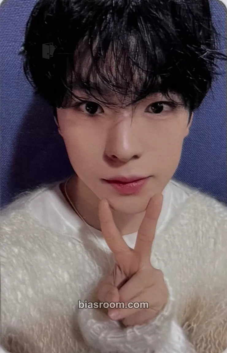 Yushi Steady Photocard - NCT WISH - NCT WISH K-pop photocard