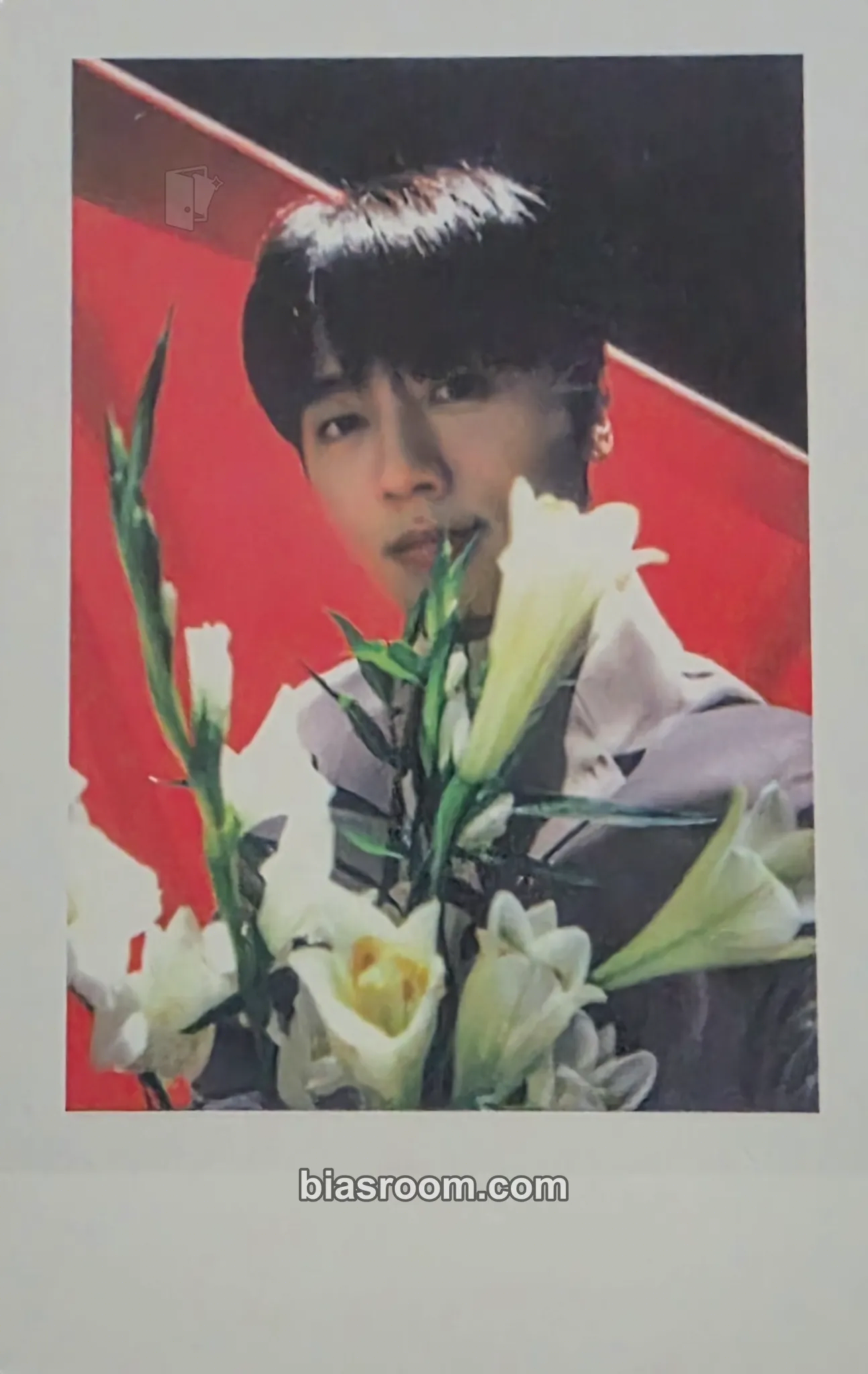 Youngbin 2021 Season's Greetings Photocard - SF9 - SF9 K-pop photocard
