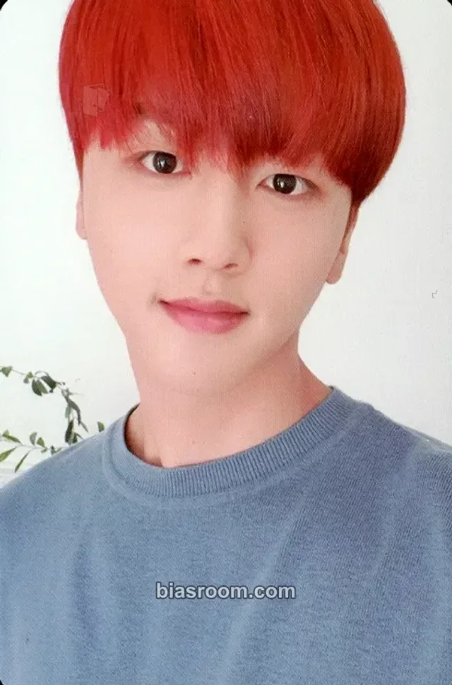 SF9 - Youngbin - SF9 3th Fanclub 3기 Holiday Fantasia Other photocard set