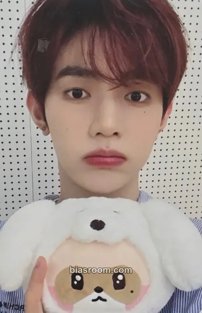 Hao Zeroni Fluffy Wonderland Pop-up (Line Friends) Photocard - ZEROBASEONE - ZEROBASEONE K-pop photocard