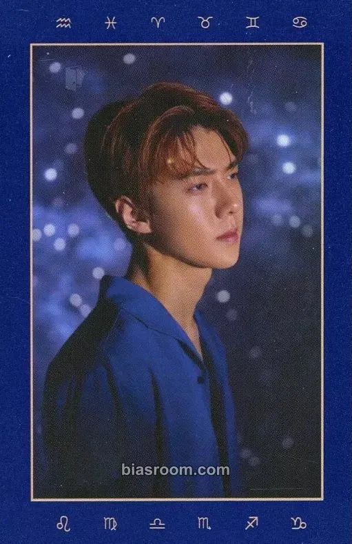 Sehun 2019 EXO Season's Greetings Photocard - EXO - EXO K-pop photocard