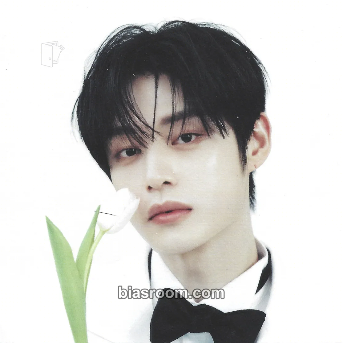 Jiwoong Re-flow Photocard - ZEROBASEONE - ZEROBASEONE K-pop photocard