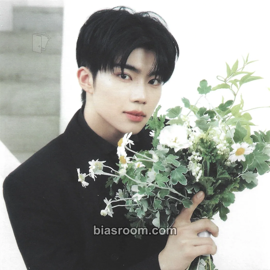 Gunwook Re-flow Photocard - ZEROBASEONE - ZEROBASEONE K-pop photocard