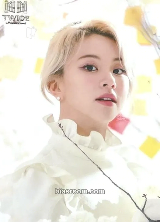 Chaeyoung TWICE in Wonderland Photocard - TWICE - TWICE K-pop photocard