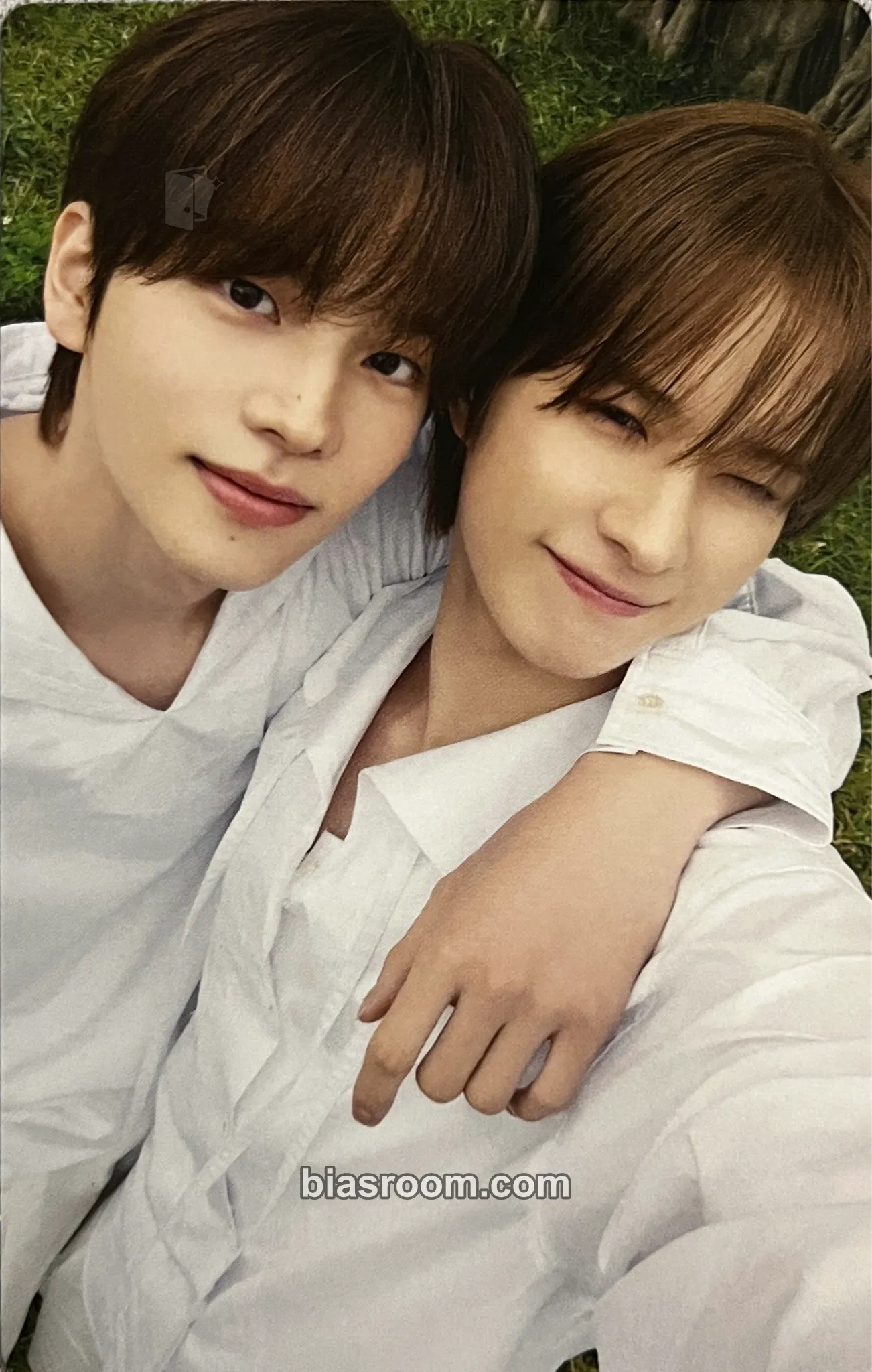 Nice to see you again Photocard - TWS - TWS K-pop photocard
