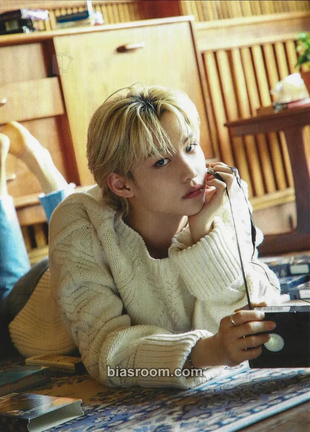 Stray Kids - Felix - 2021 Season's Greetings Other season's greetings postcard postcard set postcard book