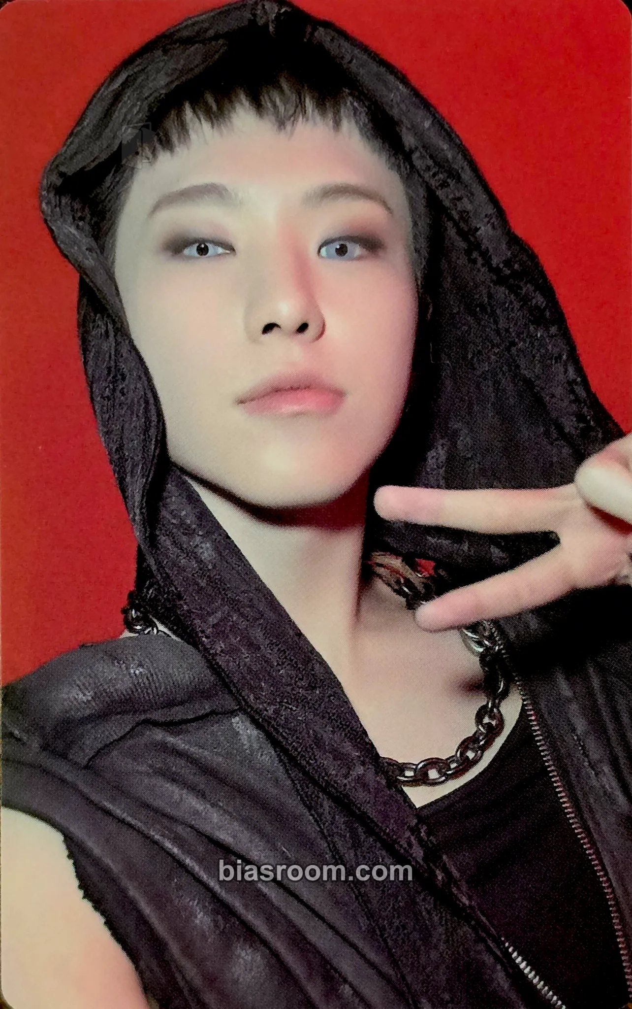 Hoshi HAPPY BURSTDAY Photocard - SEVENTEEN - SEVENTEEN K-pop photocard
