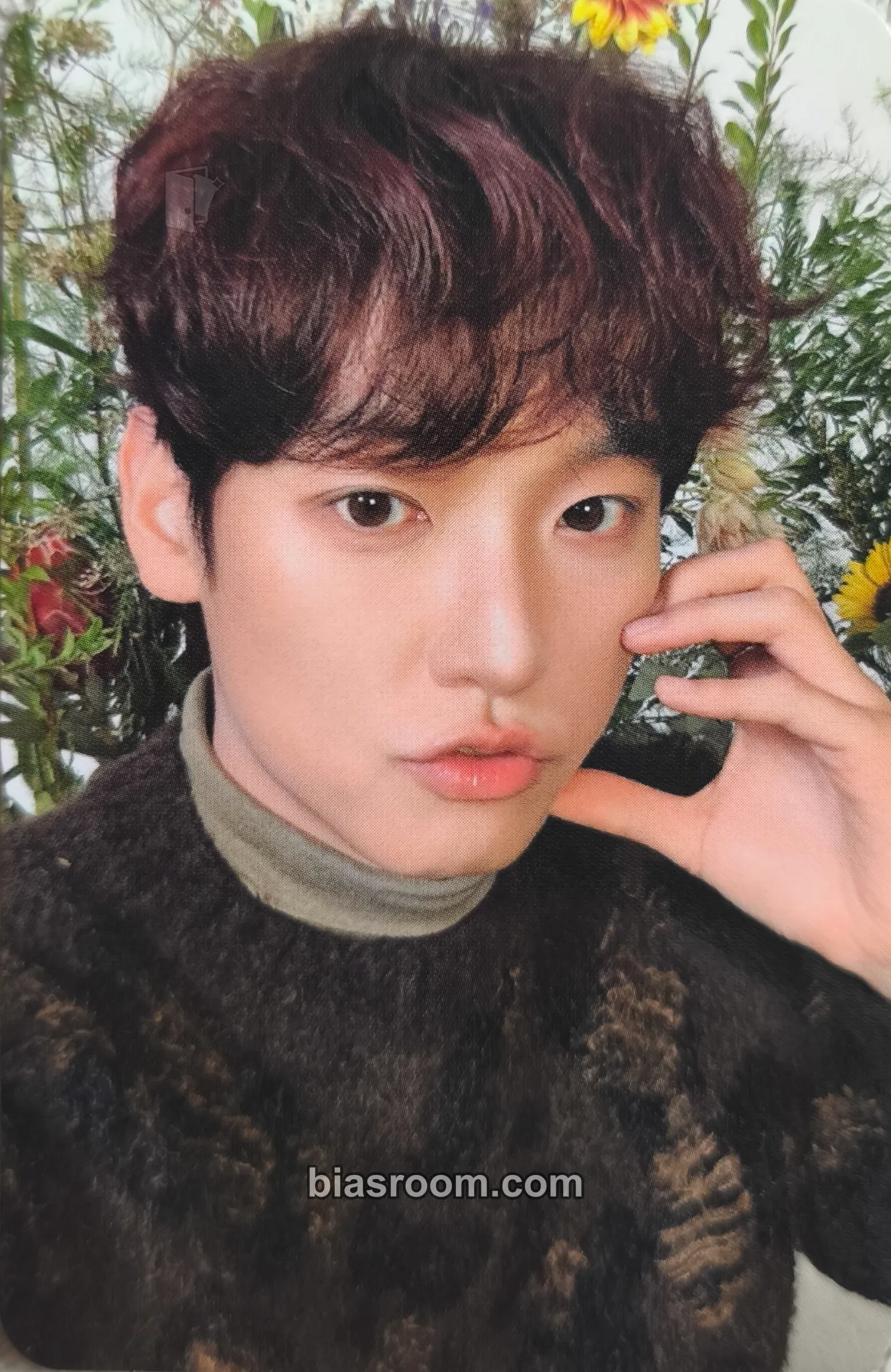 Inseong Crossfade: (In Seong Solo) Photocard - SF9 - SF9 K-pop photocard