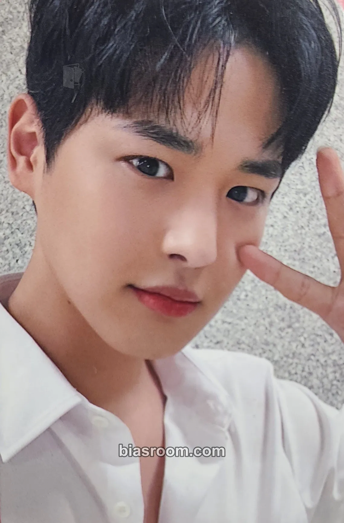 Byungchan Chronicle Fanconcert Photocard - VICTON - VICTON K-pop photocard