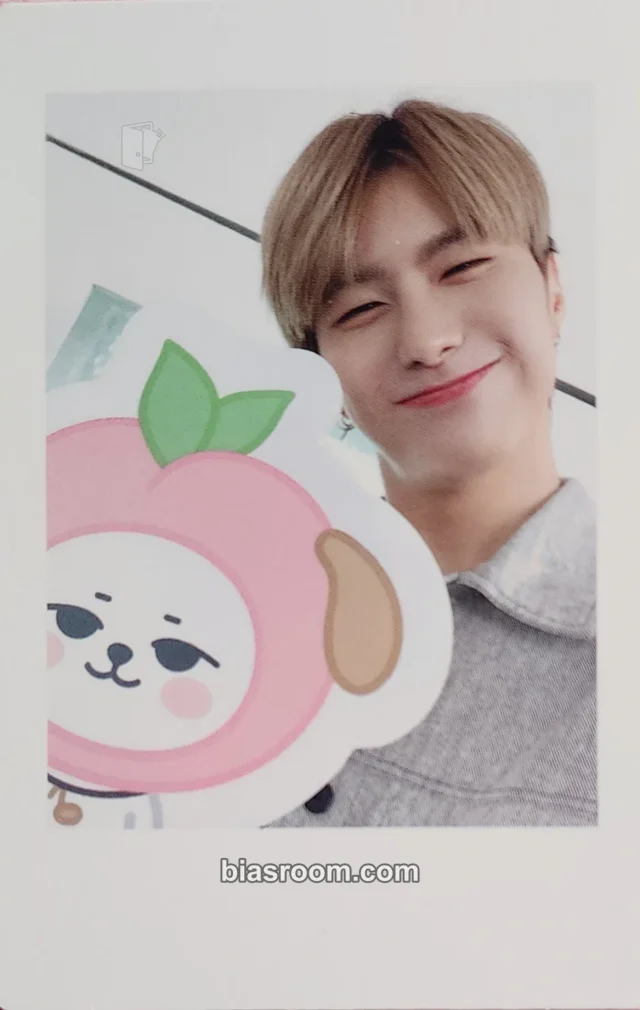 VICTON - Seungsik  - Toniiminii MD Other polaroid photo deco kit merch photocard