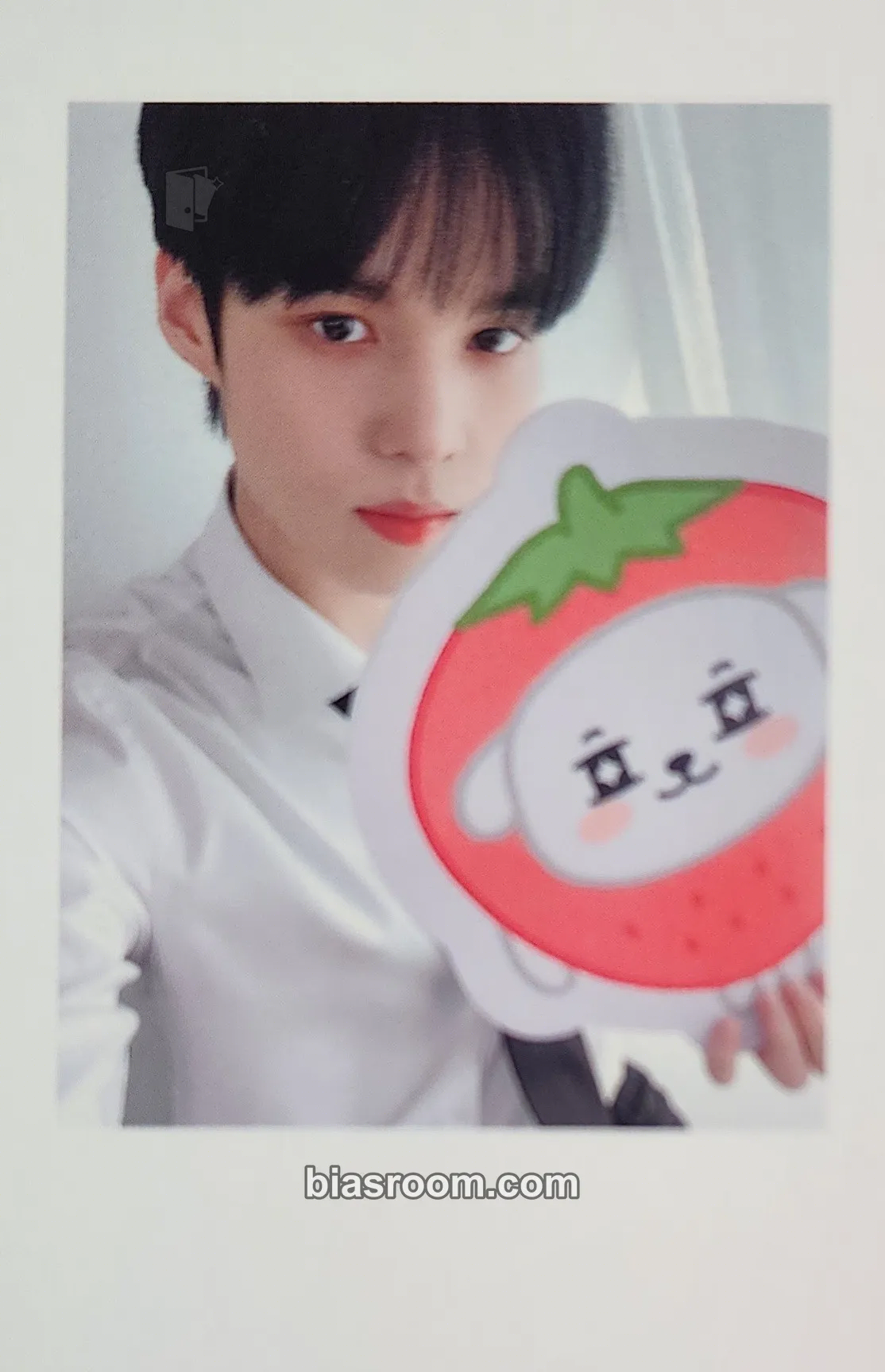 Sejun Toniiminii MD Photocard - VICTON - VICTON K-pop photocard